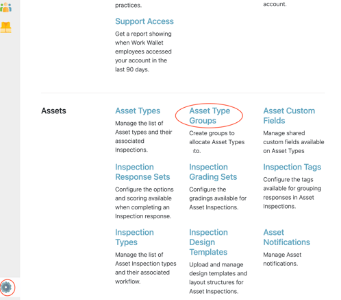 asset type