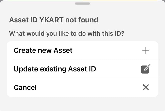 View Asset-1