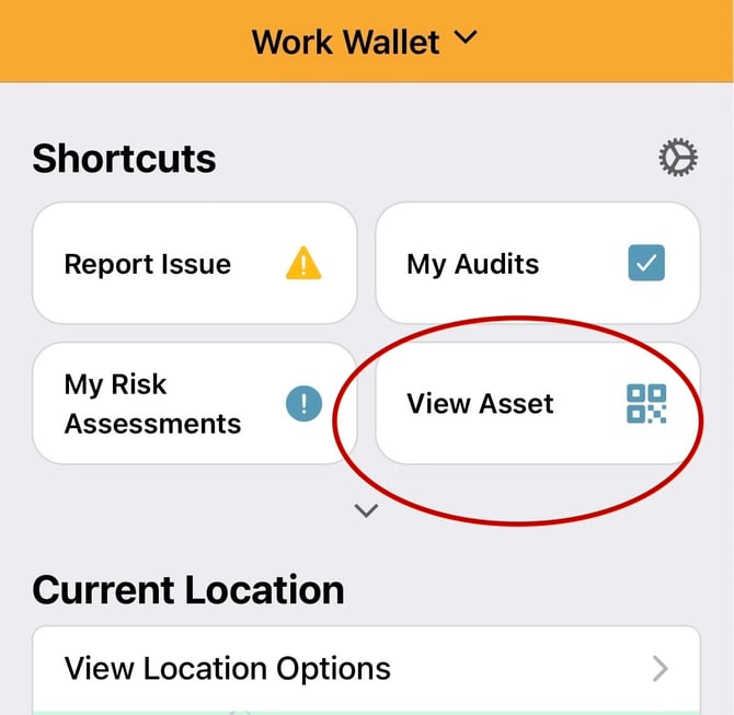 View Asset